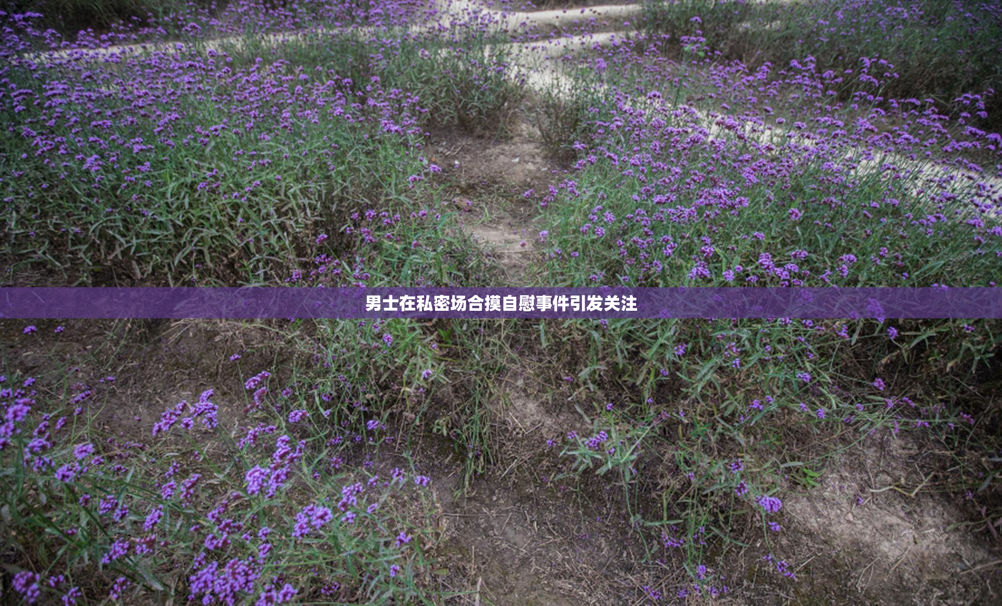 男士在私密场合摸自慰事件引发关注