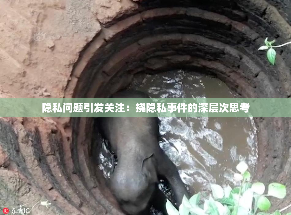 隐私问题引发关注：挠隐私事件的深层次思考