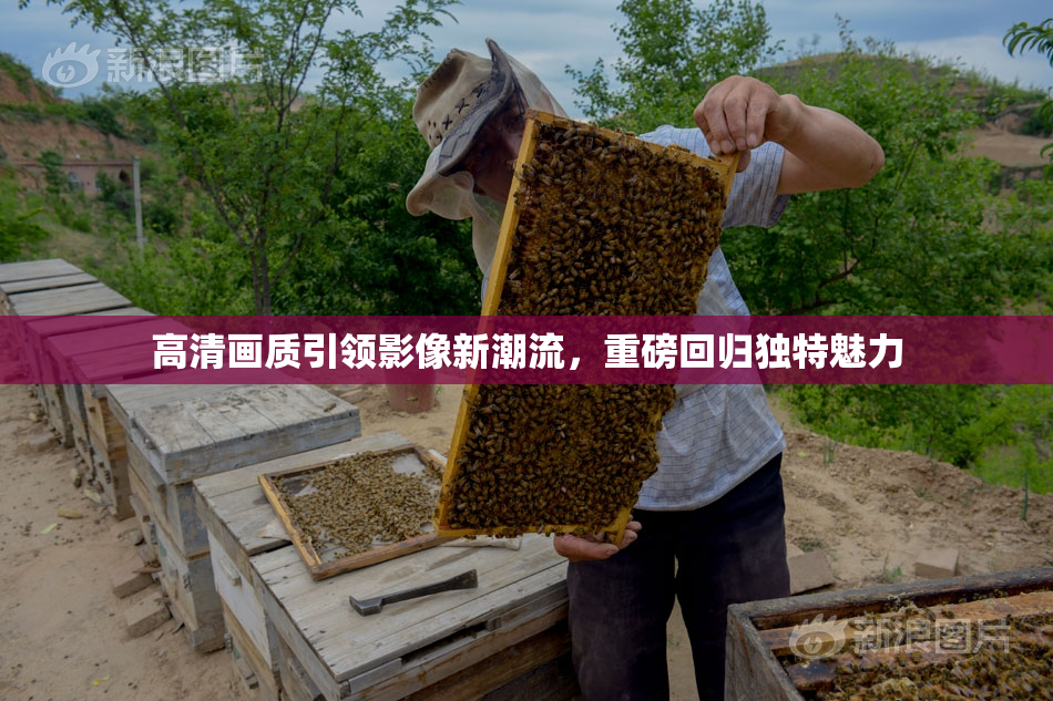 高清画质引领影像新潮流，重磅回归独特魅力