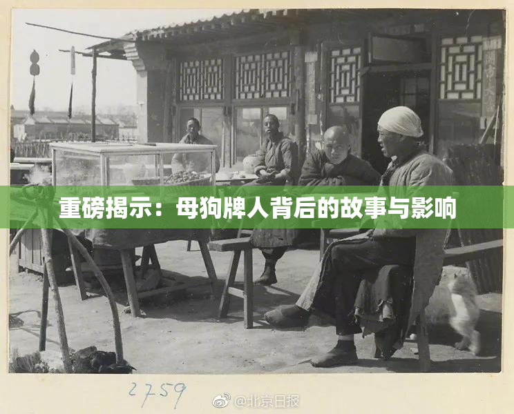 重磅揭示：母狗牌人背后的故事与影响