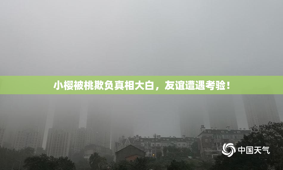 小樱被桃欺负真相大白，友谊遭遇考验！