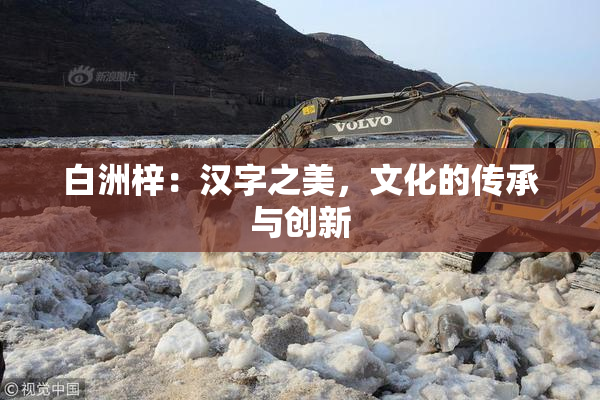 白洲梓：汉字之美，文化的传承与创新