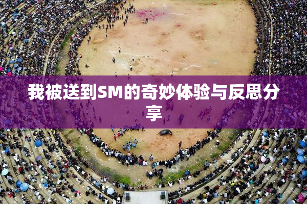 我被送到SM的奇妙体验与反思分享