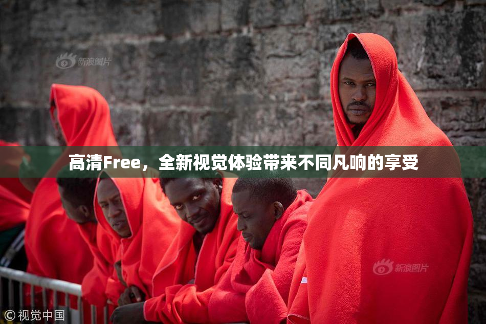 高清Free，全新视觉体验带来不同凡响的享受