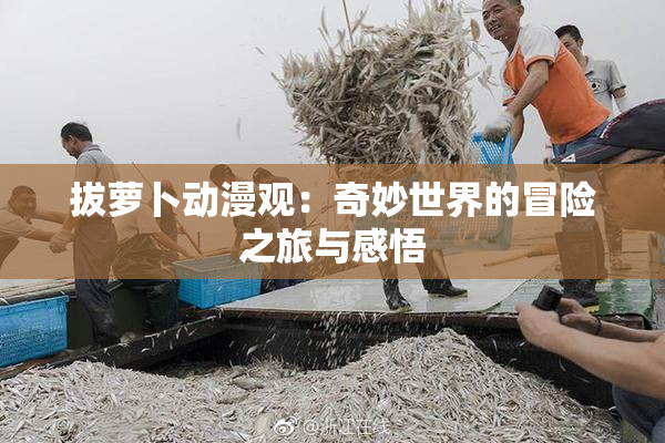 拔萝卜动漫观：奇妙世界的冒险之旅与感悟