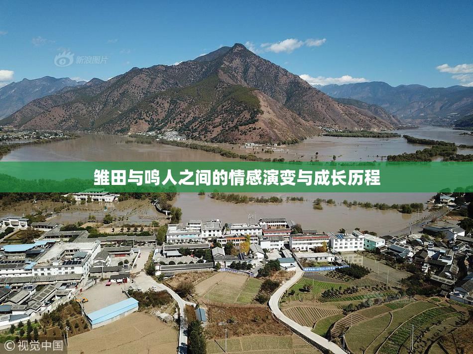 雏田与鸣人之间的情感演变与成长历程