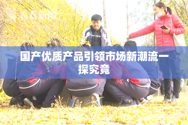 国产优质产品引领市场新潮流一探究竟