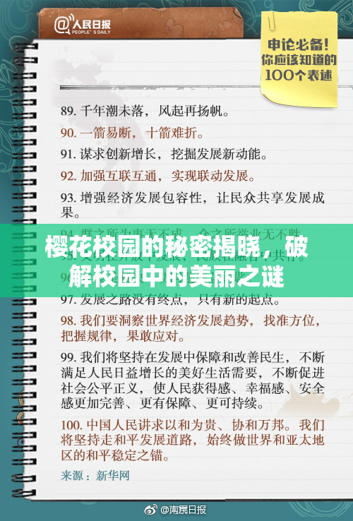 樱花校园的秘密揭晓，破解校园中的美丽之谜