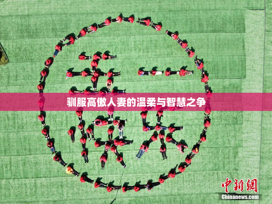 驯服高傲人妻的温柔与智慧之争