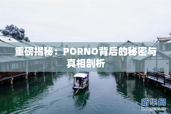 重磅揭秘：PORNO背后的秘密与真相剖析