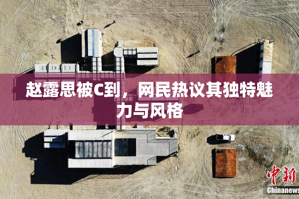 赵露思被C到，网民热议其独特魅力与风格