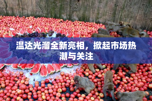 温达光溜全新亮相，掀起市场热潮与关注
