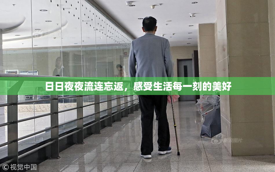 日日夜夜流连忘返，感受生活每一刻的美好