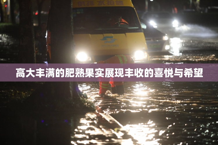 高大丰满的肥熟果实展现丰收的喜悦与希望
