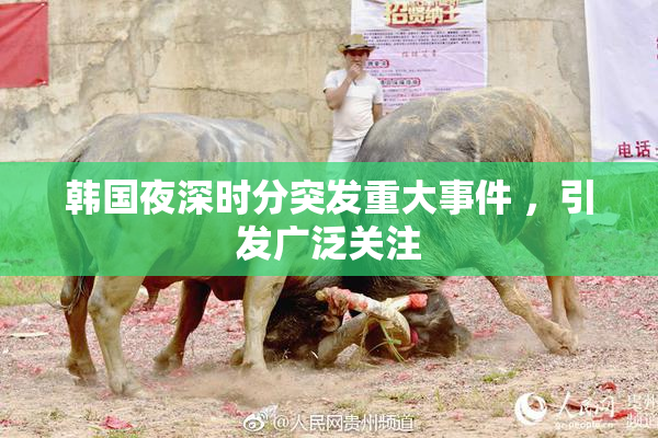 韩国夜深时分突发重大事件 ，引发广泛关注