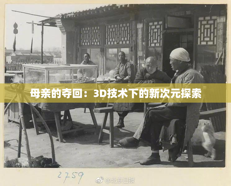 母亲的夺回：3D技术下的新次元探索