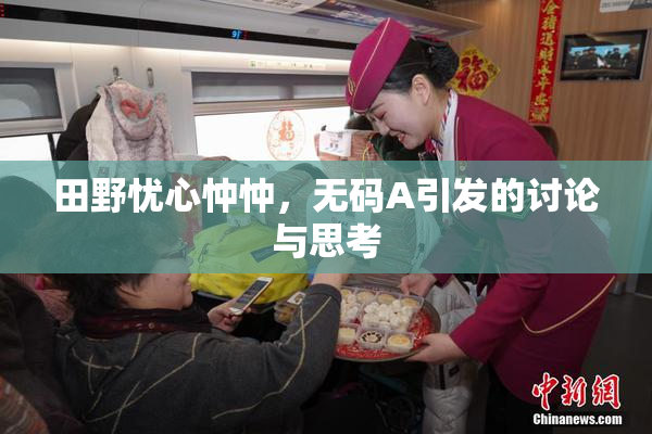 田野忧心忡忡，无码A引发的讨论与思考