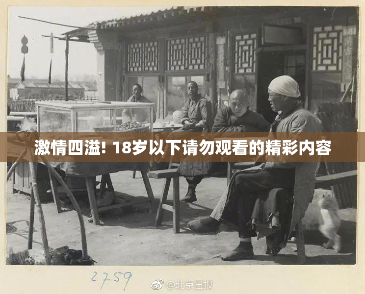 激情四溢! 18岁以下请勿观看的精彩内容
