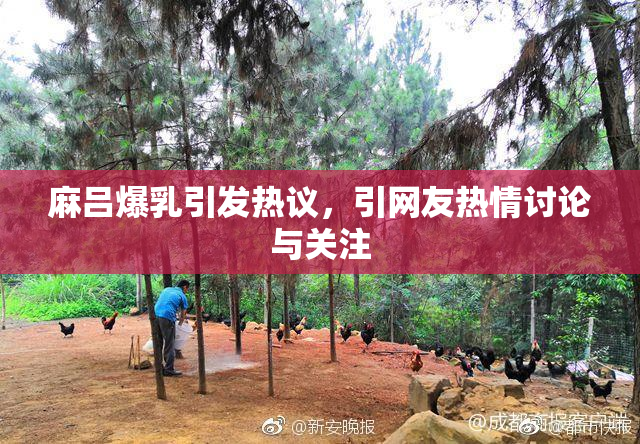 麻吕爆乳引发热议，引网友热情讨论与关注