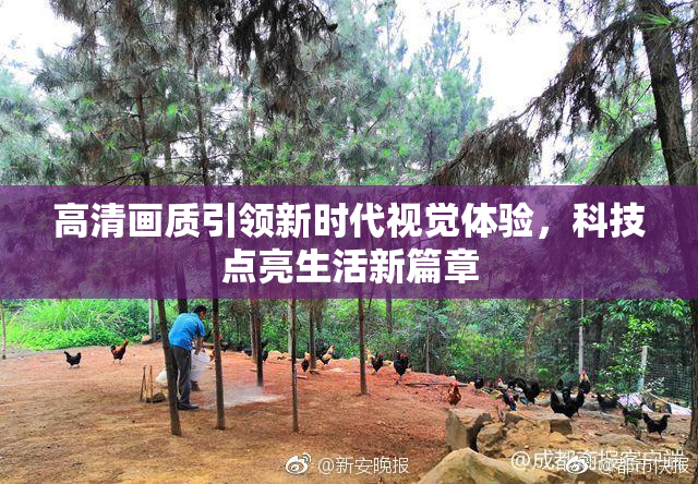 高清画质引领新时代视觉体验，科技点亮生活新篇章