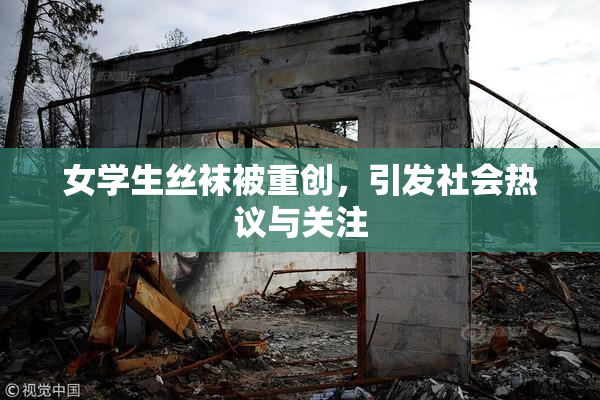 女学生丝袜被重创，引发社会热议与关注