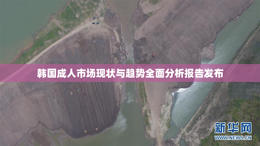 韩国成人市场现状与趋势全面分析报告发布