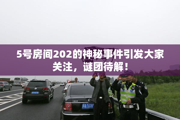 5号房间202的神秘事件引发大家关注，谜团待解！