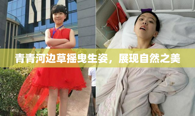 青青河边草摇曳生姿，展现自然之美