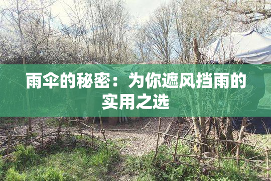 雨伞的秘密：为你遮风挡雨的实用之选