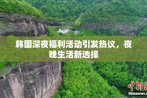 韩国深夜福利活动引发热议，夜晚生活新选择