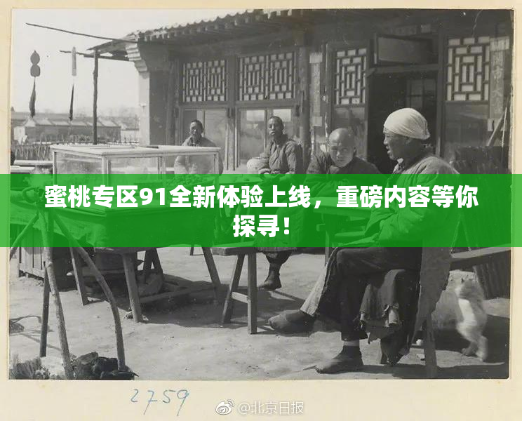 蜜桃专区91全新体验上线，重磅内容等你探寻！
