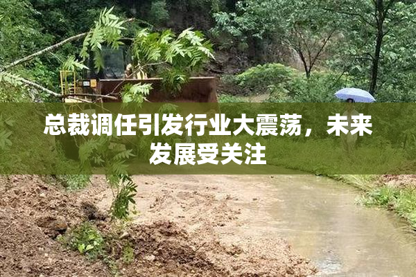 总裁调任引发行业大震荡，未来发展受关注