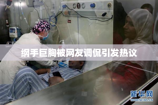 纲手巨胸被网友调侃引发热议