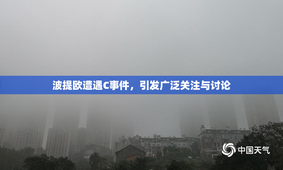 波提欧遭遇C事件，引发广泛关注与讨论