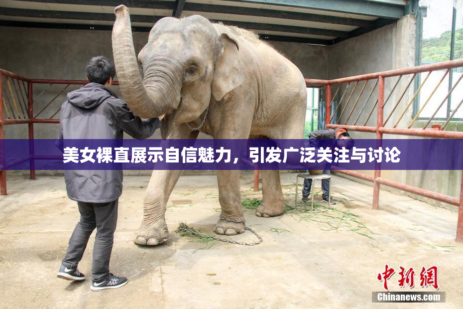 美女裸直展示自信魅力，引发广泛关注与讨论