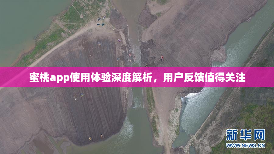 蜜桃app使用体验深度解析，用户反馈值得关注