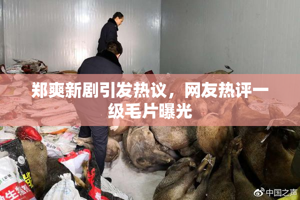 郑爽新剧引发热议，网友热评一级毛片曝光