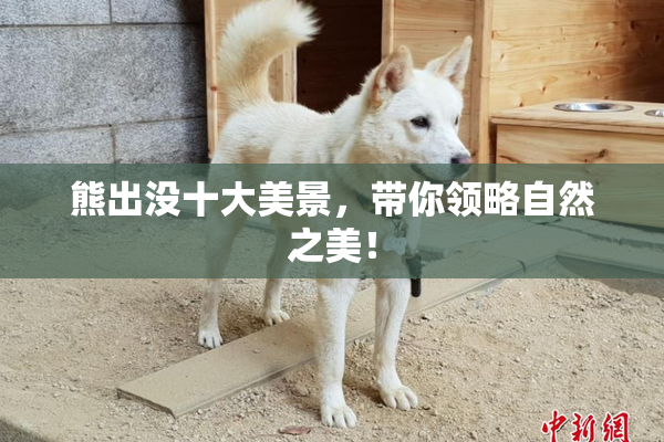 熊出没十大美景，带你领略自然之美！