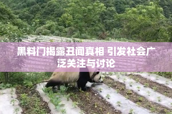 黑料门揭露丑闻真相 引发社会广泛关注与讨论