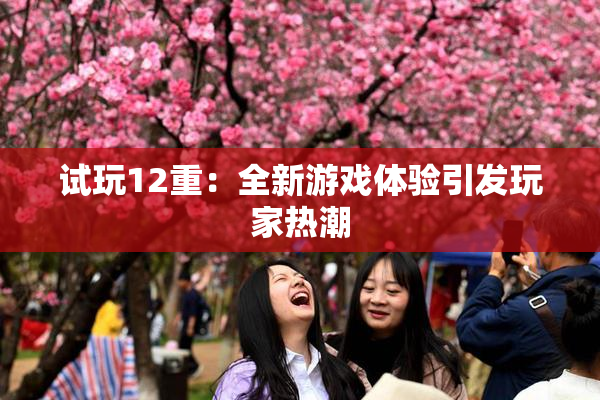 试玩12重：全新游戏体验引发玩家热潮