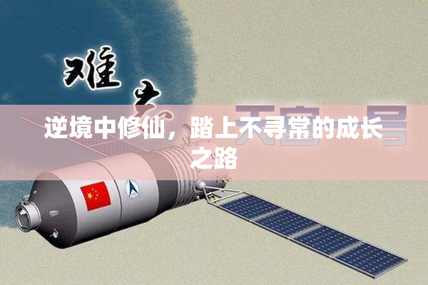 逆境中修仙，踏上不寻常的成长之路