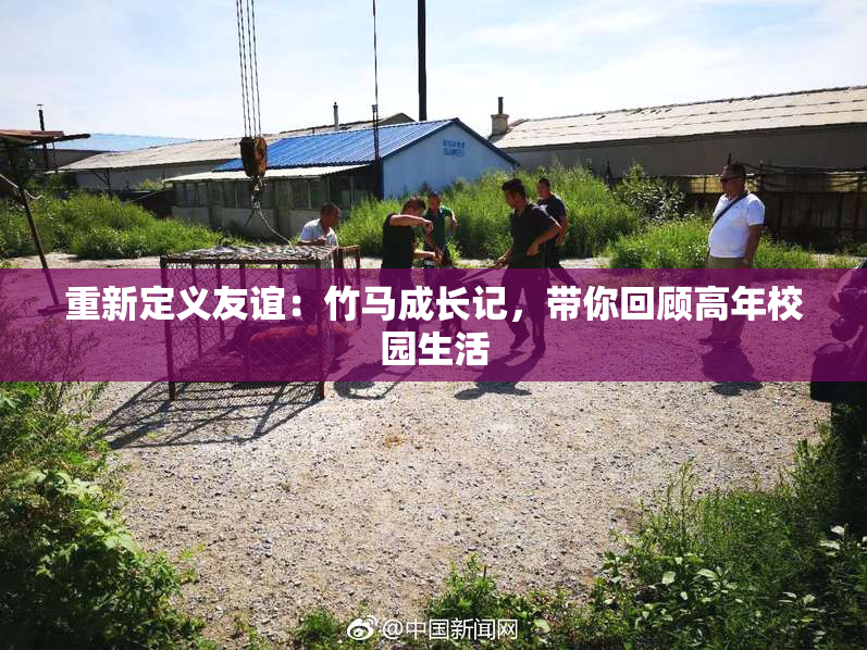 重新定义友谊：竹马成长记，带你回顾高年校园生活