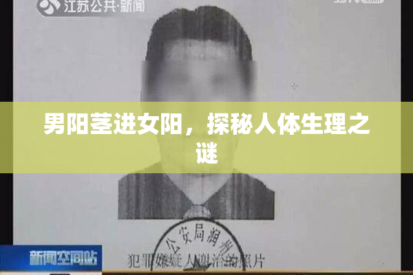 男阳茎进女阳，探秘人体生理之谜