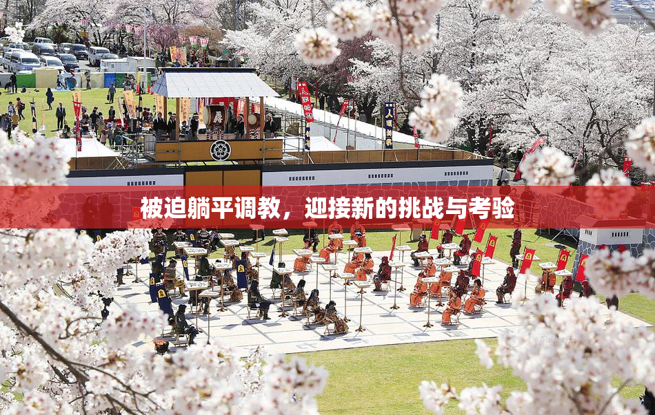 被迫躺平调教，迎接新的挑战与考验