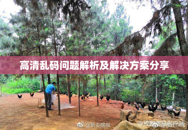 高清乱码问题解析及解决方案分享