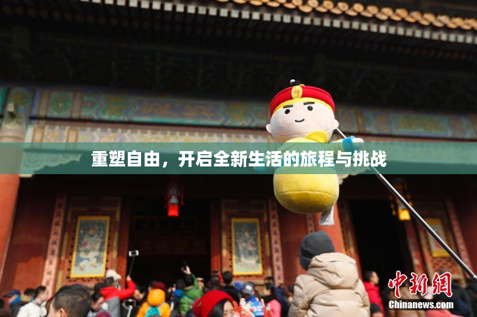 重塑自由，开启全新生活的旅程与挑战