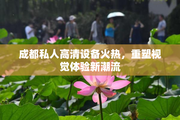 成都私人高清设备火热，重塑视觉体验新潮流
