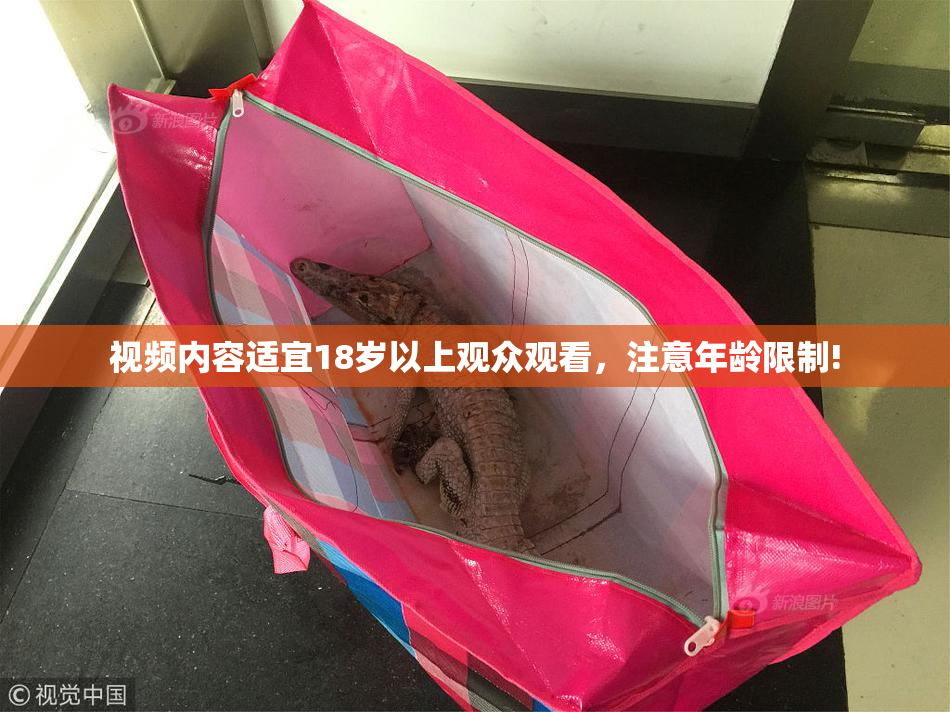 视频内容适宜18岁以上观众观看，注意年龄限制!