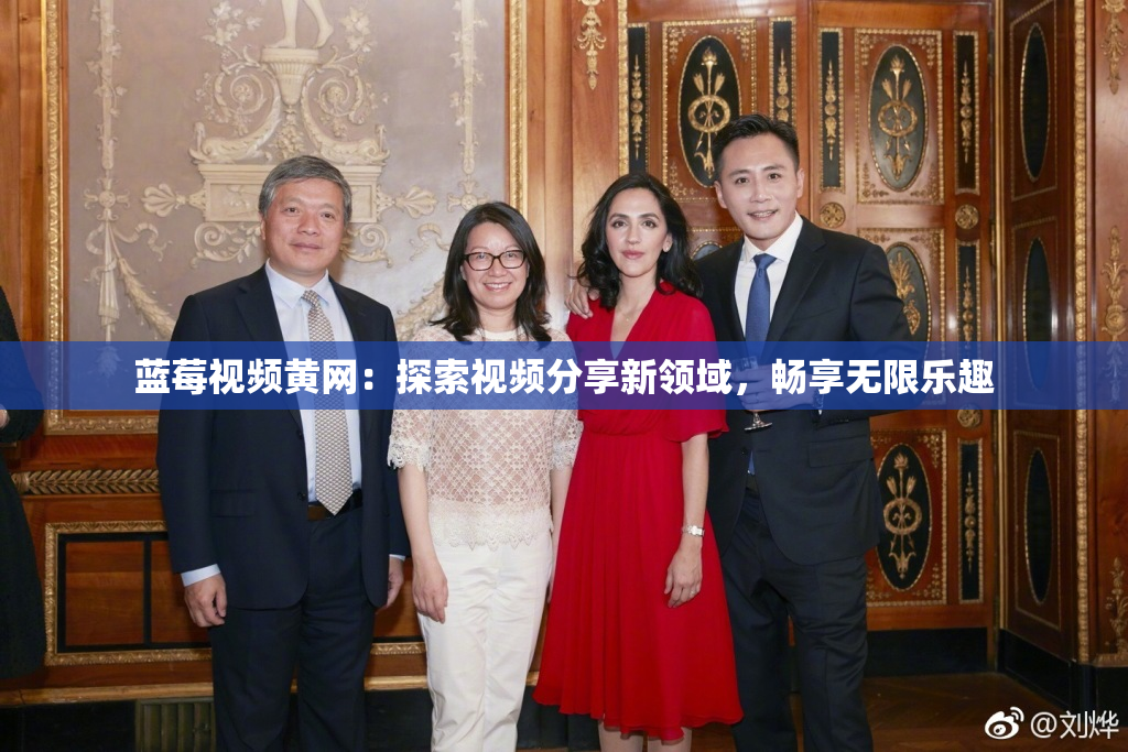 蓝莓视频黄网：探索视频分享新领域，畅享无限乐趣