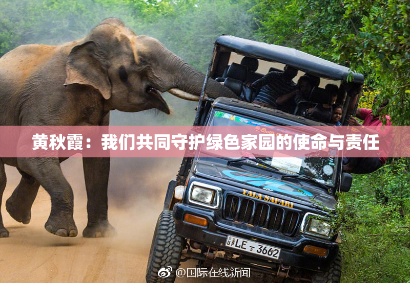 黄秋霞：我们共同守护绿色家园的使命与责任